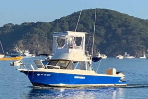Dream Fishing boat for rooster fishing